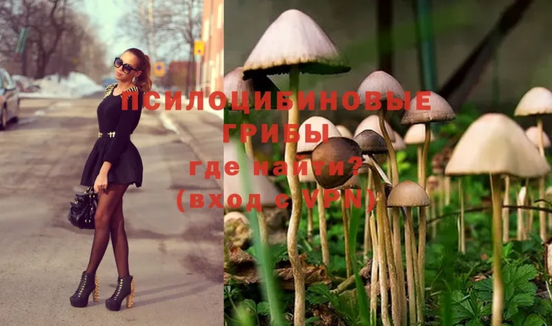 Галлюциногенные грибы Magic Shrooms  Гусиноозёрск 